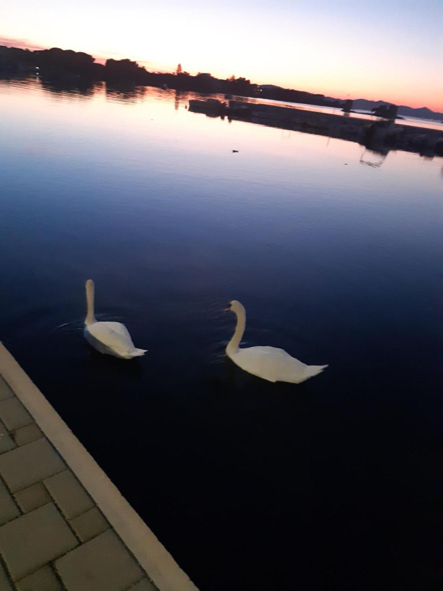 Apartman Barbir Sukošan Dış mekan fotoğraf