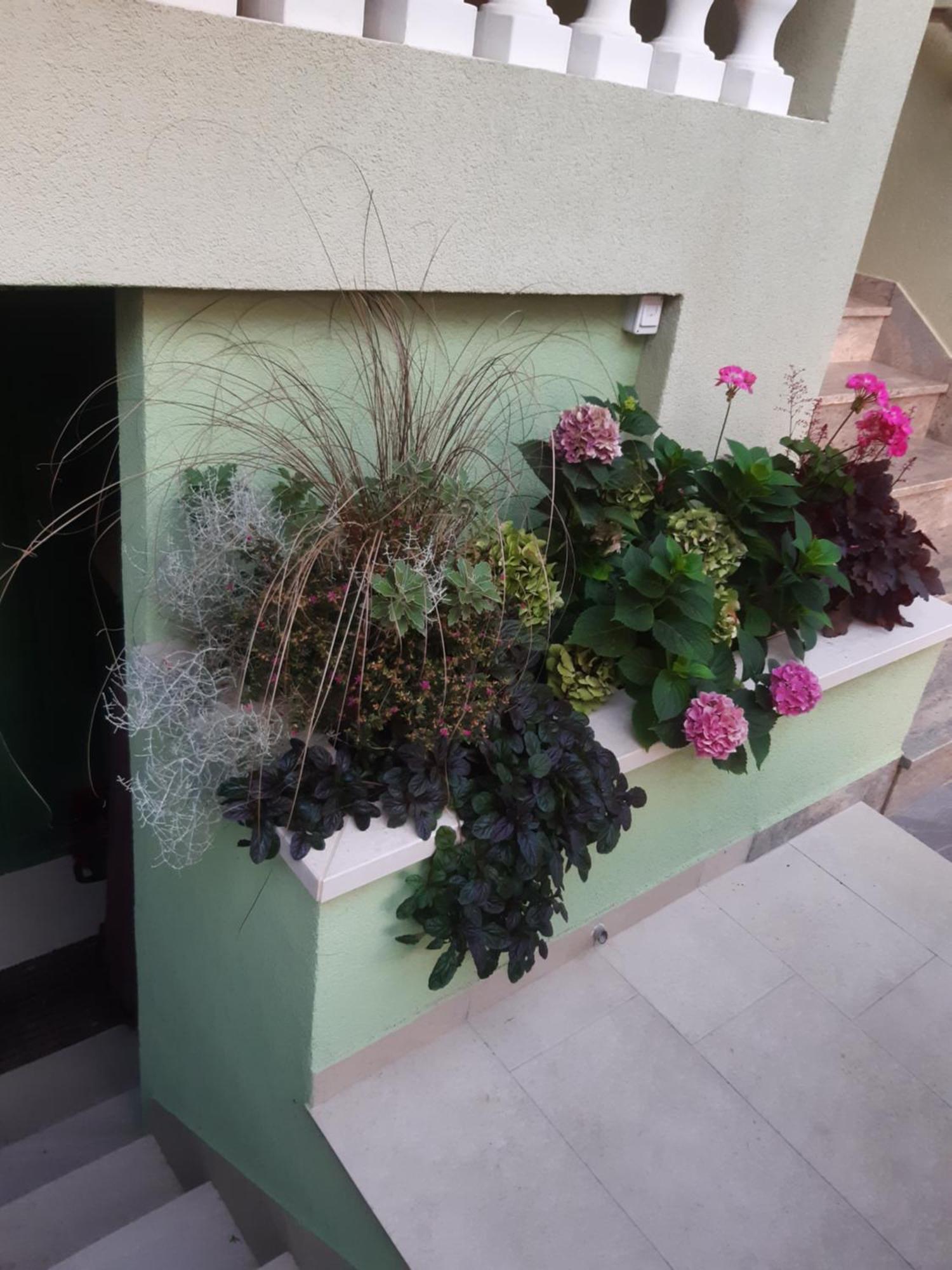 Apartman Barbir Sukošan Dış mekan fotoğraf